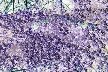 N 015A
